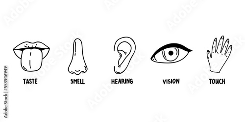 Five human senses line icons set. Vision, smell, hearing, touch, taste icons. Human sensory organs. Eye, nose, ear, hand, mouth icon set