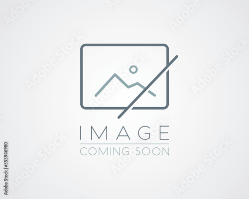 Image coming soon. No photo symbol. No thumbnail available. Default thumbnail available. Image not available icon. Profile picture. Vector stock illustration.