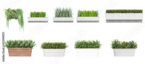 Set of Plant isolated