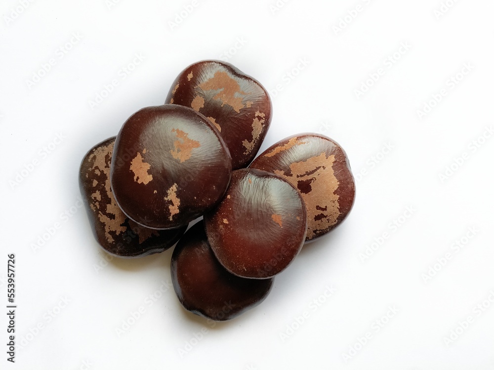 Obraz premium Seeds of Entada scandens Ayurvedic Herbs known to be helpful to treat Fever.