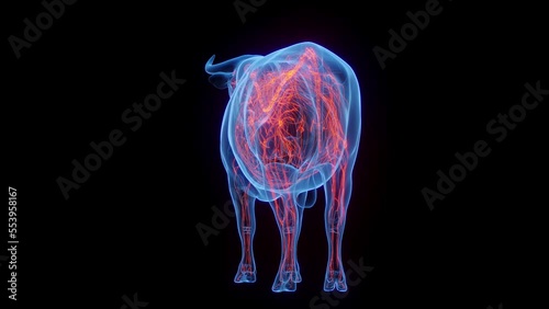 Wallpaper Mural 3D medical animation of a cow's nervous system Torontodigital.ca