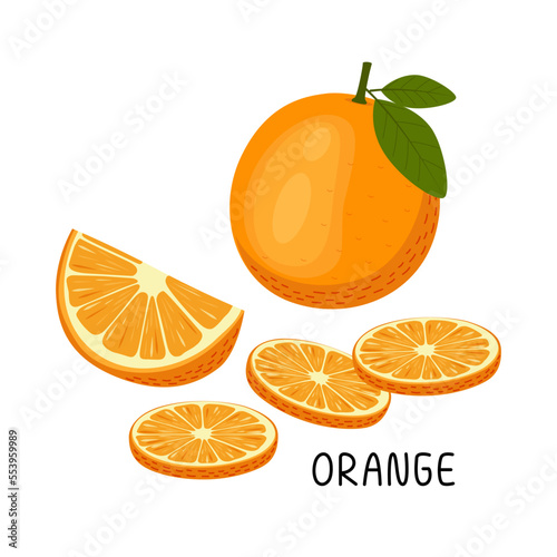 
Vector illustration of a set of ripe fresh orange, pieces and slices of fruit. Fruit illustration in flat style isolated on white background.