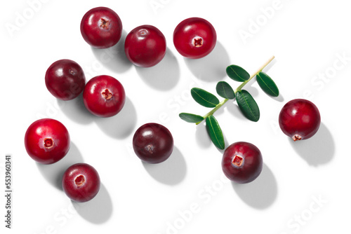 Cranberries (Vaccinium oxycoccus), top view isolated png