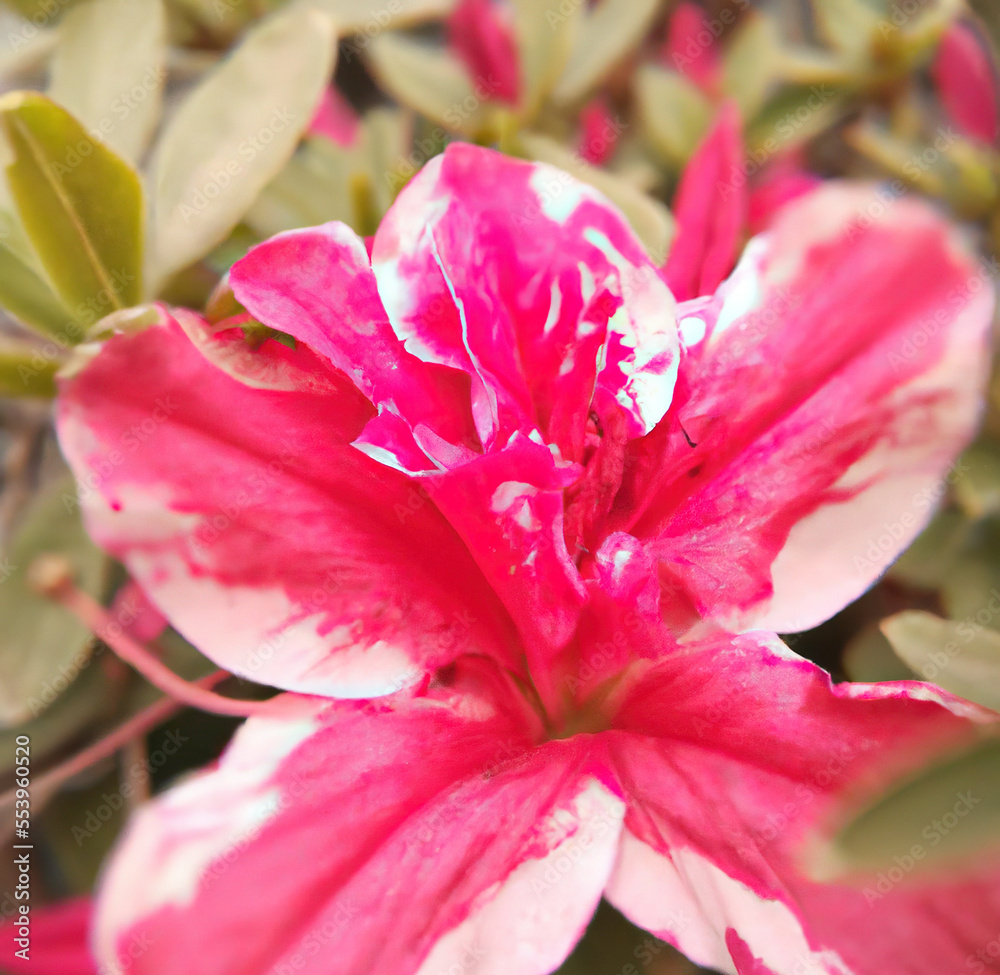 Close up of beautiful pink flowers over green leaves created using Generative AI technology Close up of beautiful pink flowers over green leaves created using Generative AI technology
