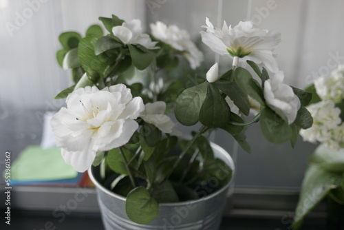 flowers in a pot