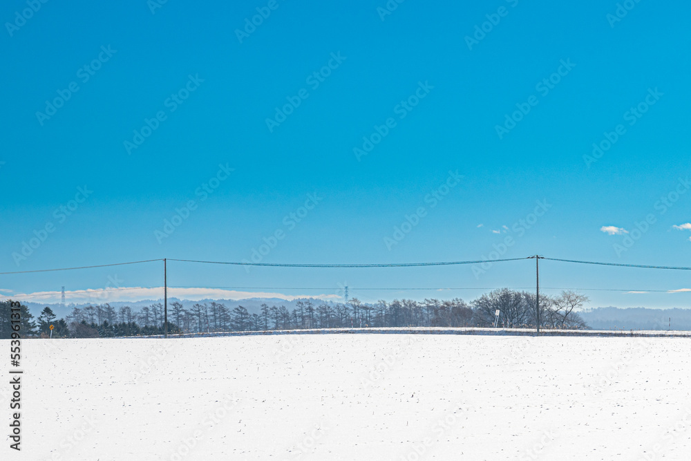 Fototapeta premium 冬の北海道の風景