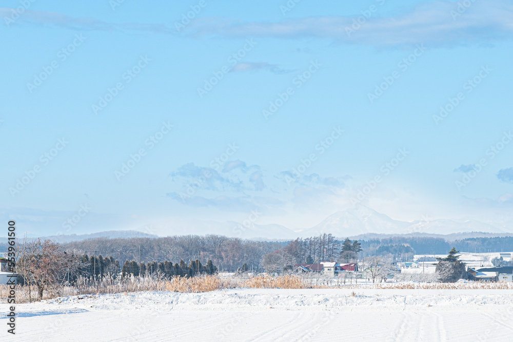 冬の北海道の風景