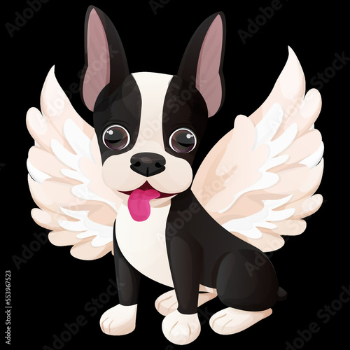 Cute Boston terrier cool sweet puppy sitting with angel wings in cartoon style isolated on white background. Cute dog, print design