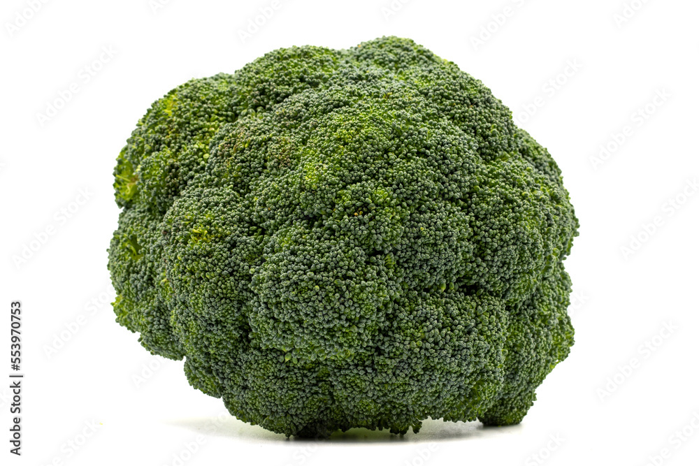 Broccoli isolated on a white background. Clipping Path. Full depth of field. Organic fresh broccoli. close up Broccoli isolated on a white background. Clipping Path. Full depth of field. Organic fresh broccoli. close up