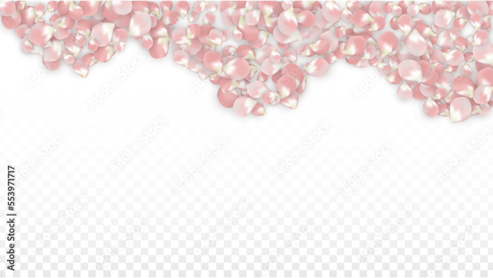 Pink Vector Realistic Petals Falling on Transparent Background. Spring Romantic Flowers Illustration. Flying Petals. Sakura Spa Design. Blossom Confetti. Design Elements for Wedding Decoration. Pink Vector Realistic Petals Falling on Transparent Background. Spring Romantic Flowers Illustration. Flying Petals. Sakura Spa Design. Blossom Confetti. Design Elements for Wedding Decoration.