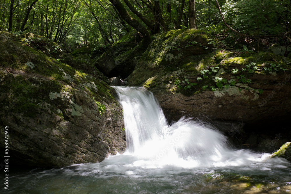 waterfall in the forest waterfall in the forest
