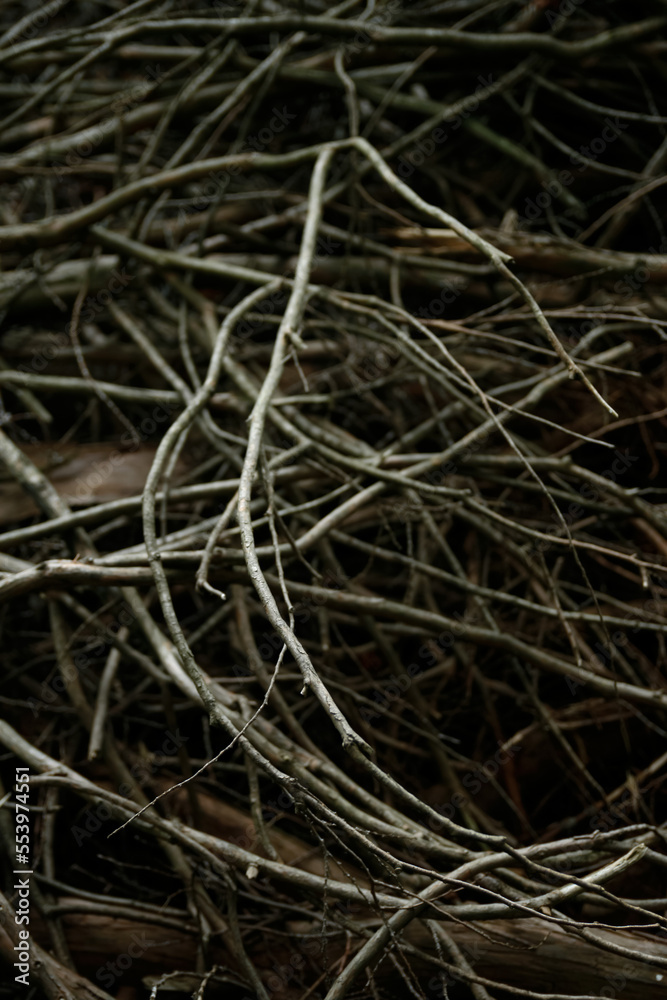 art of dry branches at Haruna, Gunma | 枯枝の造形