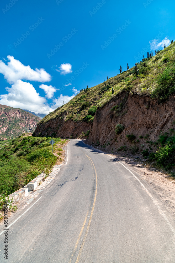 asphalt road in the Andes mountains in the nature of South America