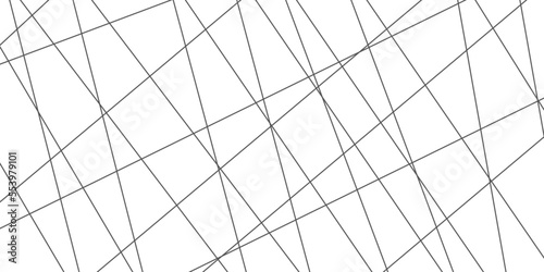 Abstract lines in black and white tone of many squares and rectangle shapes on white background. Metal grid isolated on the white background. nervures de feuilles mortes, fond rectangle and geometric