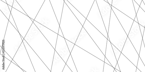Abstract lines in black and white tone of many squares and rectangle shapes on white background. Metal grid isolated on the white background. nervures de feuilles mortes, fond rectangle and geometric
