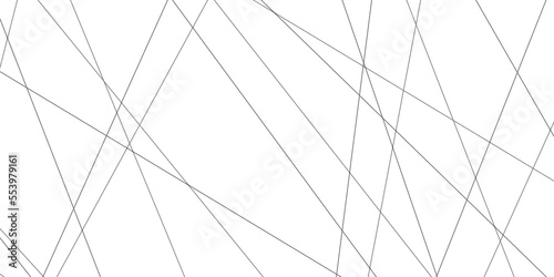 Abstract lines in black and white tone of many squares and rectangle shapes on white background. Metal grid isolated on the white background. nervures de feuilles mortes, fond rectangle and geometric