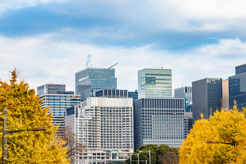 Obraz premium 東京のビル群と鮮やかに紅葉した銀杏