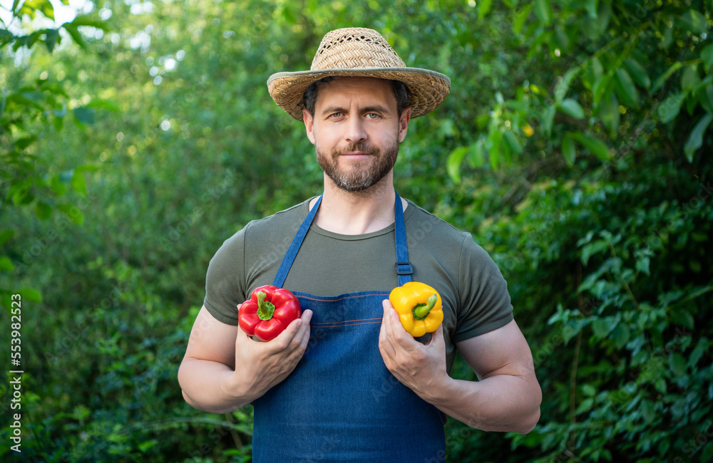 man farm worker in straw hat with sweet pepper