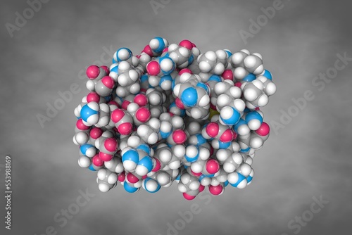 Human intestinal fatty acid binding protein. Atoms are shown as spheres with conventional color coding: carbon (grey), oxygen (red), hydrogen (white), nitrogen (blue), sulfur (yellow). 3d illustration