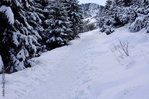 Tatry, zima, lawiny, śnieg, trudne warunki na szlakach, TPN,  photo