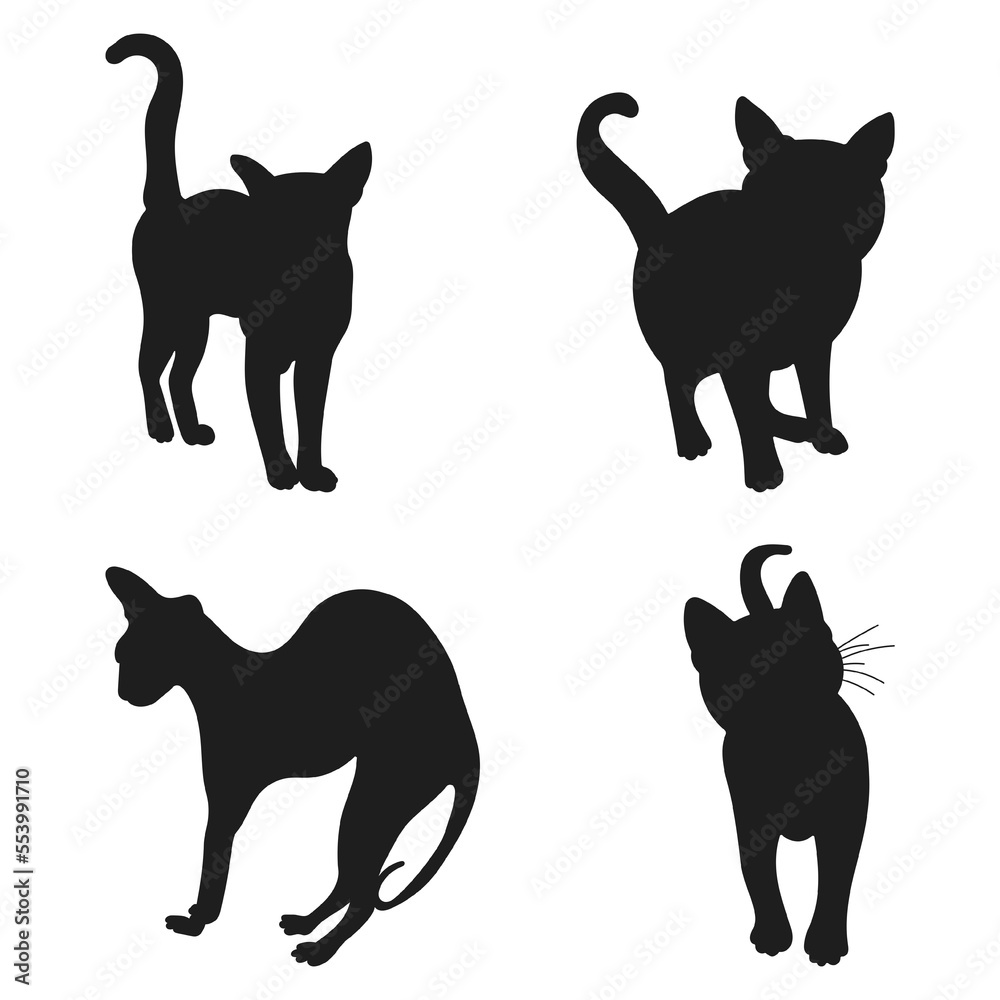 Silhouette of standing, running, walking cats in different positions, hand drawn pack of pet shapes and figures, isolated vector