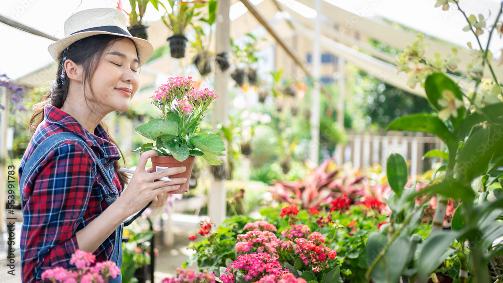 Attractive cute young Asian  woman gardener florist smelling pink flowers in pot with eyes closed in greenhouse. Happy modern agriculture. Farm owner caring planting.