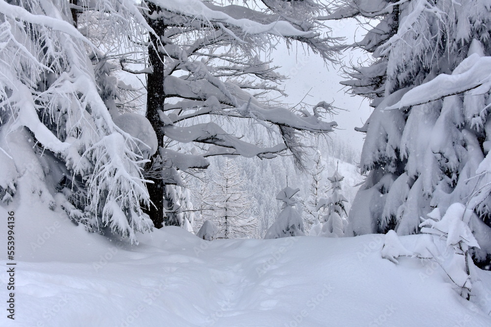 Zima w Tatrach, śnieg, mróz, zaspy, TPN, góry,  - obrazy, fototapety, plakaty 