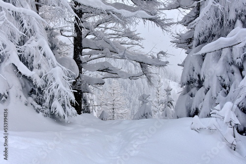 Zima w Tatrach, śnieg, mróz, zaspy, TPN, góry, 