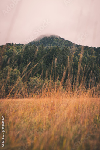 A Mountain in Austria