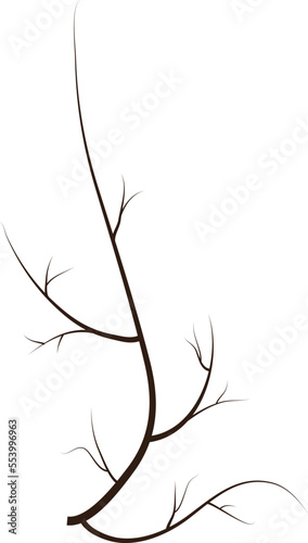 tree branch in vector