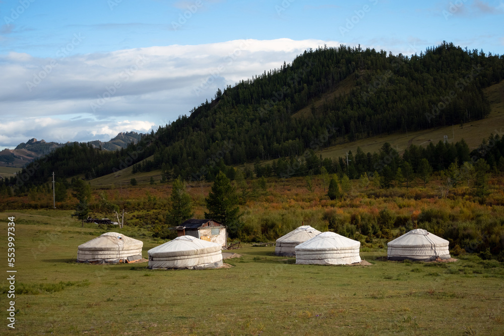 Yurt camp surrounded by trees on the ridge of the mountain. Small ger huts on the crest of the hill on a sunny day.