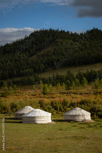 Yurt camp surrounded by trees on the ridge of the mountain. Small ger huts on the crest of the hill on a sunny day.