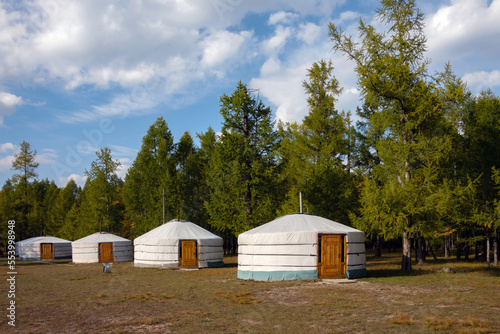Yurt camp on a beautiful sunny day in Mongolia. Ger campsite in rural country, nature in the background. © CrispyMedia