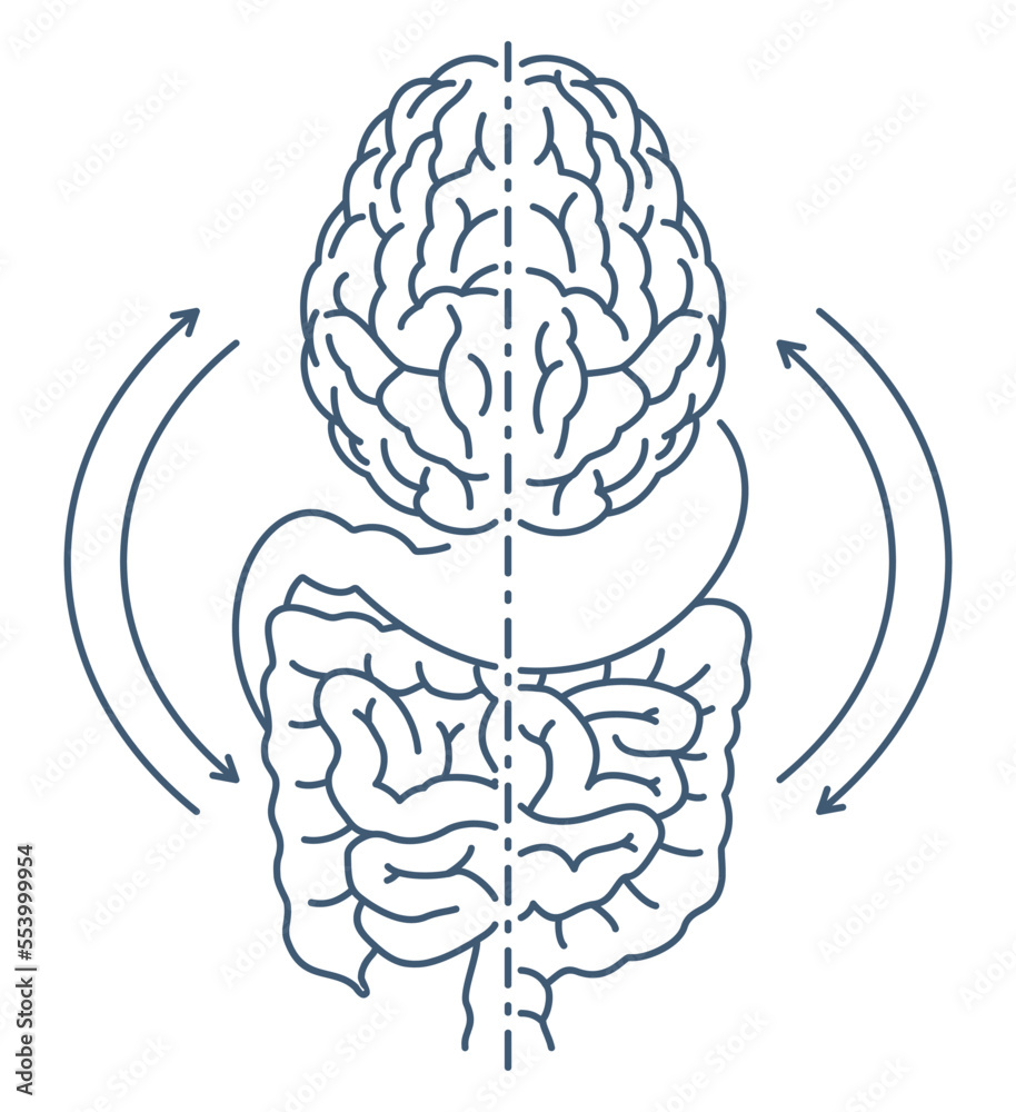 Gut-brain axis - biochemical signaling scheme Gut-brain axis - biochemical signaling scheme