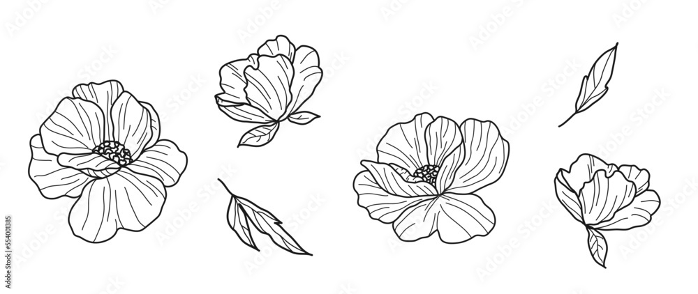 Set of luxury vector flowers and leaves. Trendy botanical elements on isolated white background. Hand drawn line branch and flowers. Wedding elegant wild flowers for invitation, decor, print. Set of luxury vector flowers and leaves. Trendy botanical elements on isolated white background. Hand drawn line branch and flowers. Wedding elegant wild flowers for invitation, decor, print.