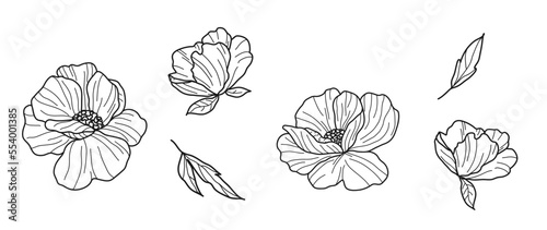 Set of luxury vector flowers and leaves. Trendy botanical elements on isolated white background. Hand drawn line branch and flowers. Wedding elegant wild flowers for invitation, decor, print.