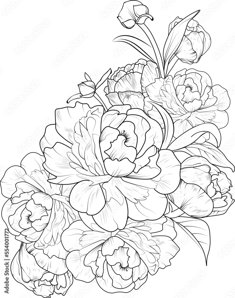 Peony flower sketch art, Hand-drawn peony flower bouquet vector sketch, illustration engraved ink art simplicity, botanical leaf branch collection isolated on white background coloring page and books. Peony flower sketch art, Hand-drawn peony flower bouquet vector sketch, illustration engraved ink art simplicity, botanical leaf branch collection isolated on white background coloring page and books.