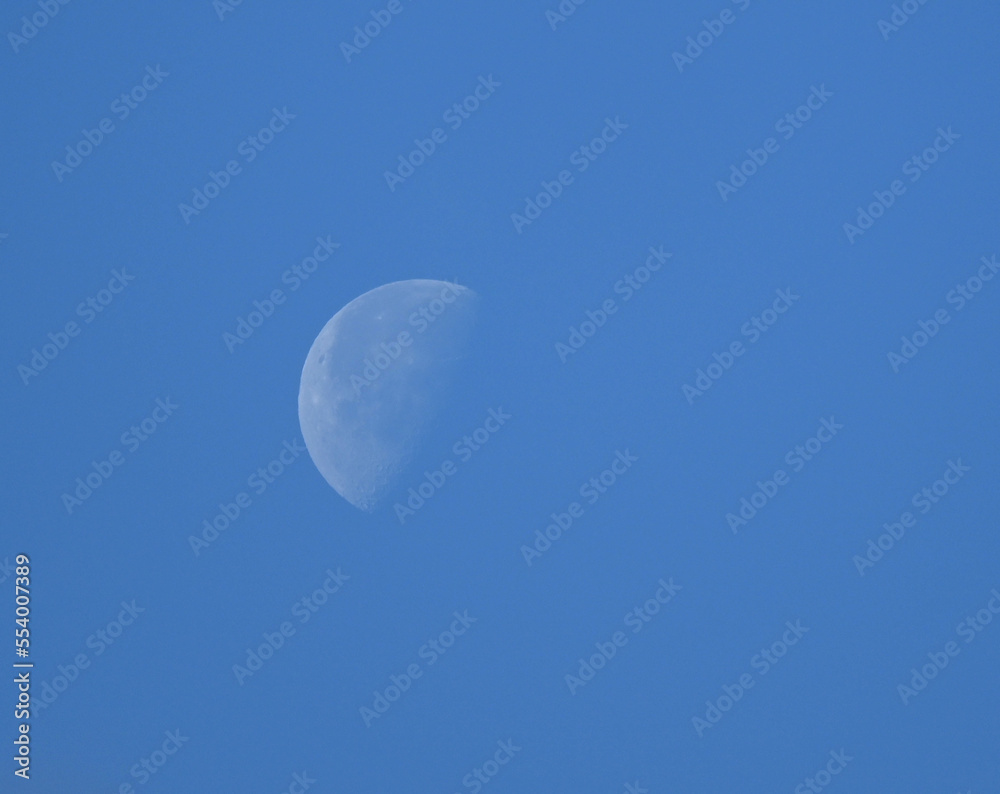 Fondo natural con detalle de luz con cielo de color azul intenso Fondo natural con detalle de luz con cielo de color azul intenso