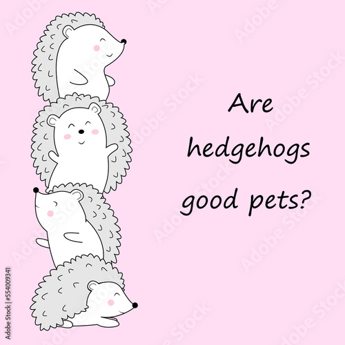 Hedgehog cute card. Are Hedgehogs good pets? National Hedgehog Day. Hedgehog Day Poster, February 2. Important day.Vector illustration