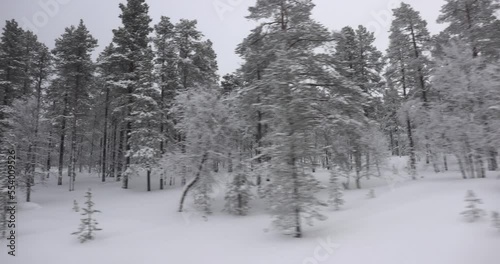 Snowy arctic taiga landscape travel photo