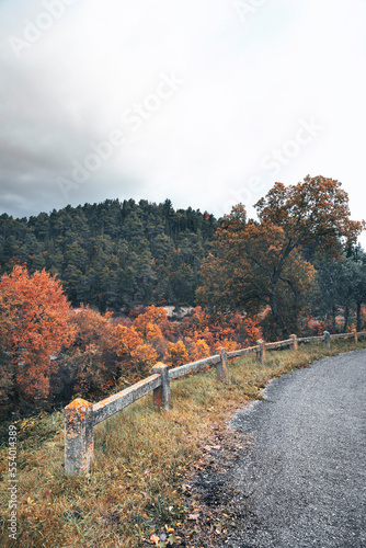 Rural road in mountain, aut...