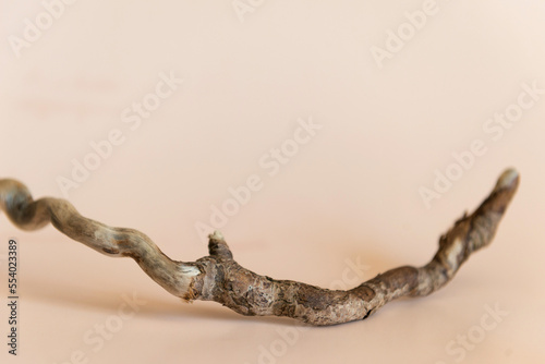 Empty podium natural material tree beige background. Product presentation.