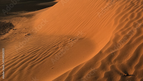 Landscape picture of Sahara desert dunes with blue sky