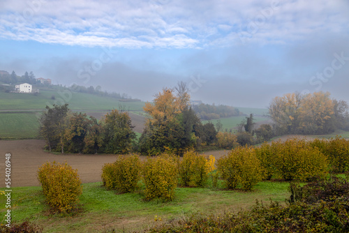 Italian landscape with fog in autumn in Piedmont  Italy