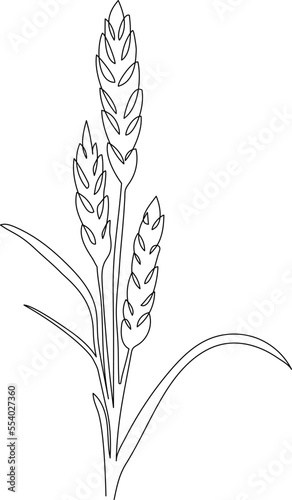Wheat ear grain. Minimalistic line art. Continuous one line drawing - cereal bakery icon concept. Vector illustration.