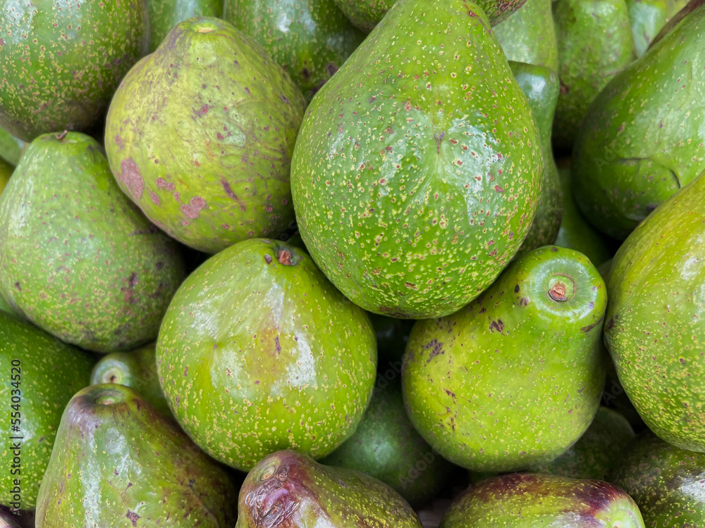bunch of green avocados at the local market. healthy fresh fruit bunch of green avocados at the local market. healthy fresh fruit