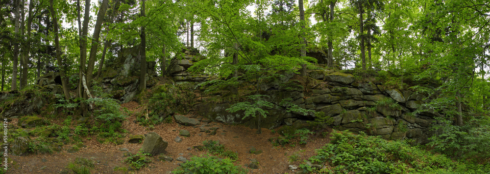 Rock formation Certovy Kameny (Devil Stones) in High Ash Mountains,Jesenik District,Olomouc Region,Czech Republic,Europe
