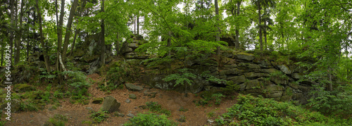 Rock formation Certovy Kameny (Devil Stones) in High Ash Mountains,Jesenik District,Olomouc Region,Czech Republic,Europe
 photo