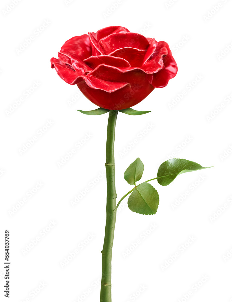 Beautiful rose imitation, cut out for image montages.
