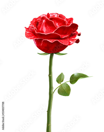 Beautiful rose imitation  cut out for image montages.